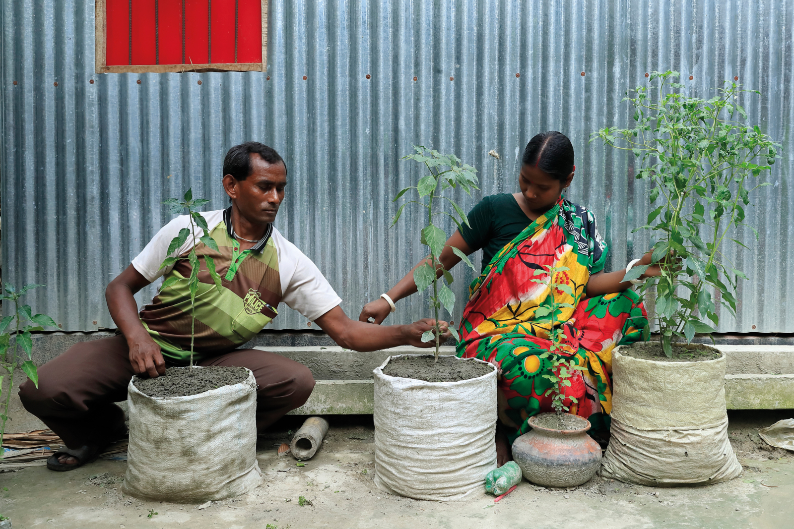 NETZ Gemeinsam F r Bangladesch Bangladesch netz-gemeinsam-f-r-bangladesch-bangladesch