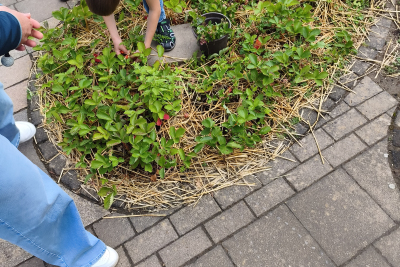 Besuchsreise 2026 Grundschule WIchterich 3